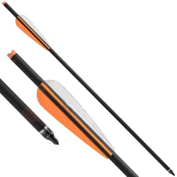 Stealth Carbon Crossbow Bolts 20"