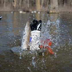 Higdon XS Crazy Kicker Mallard Drake Decoy 12V