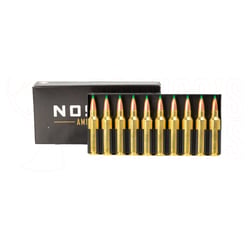 Nosler Ballistic Tip Projectiles 300 WSM 165gr 20 Projectiles
