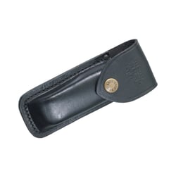 Buck 110 Folding Hunter
