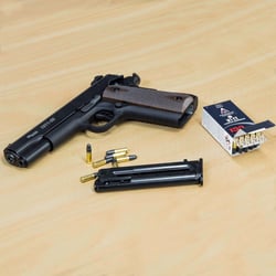 SIG Sauer 1911-22 Black .22 LR