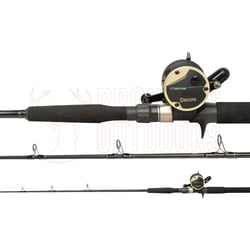 Daiwa BG Bluewater 70MB Rod + Daiwa Sealine SL-30SH Overhead Reel