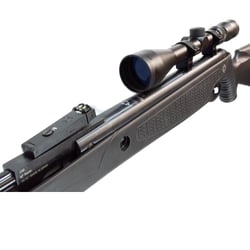 Norica Spider GRS Black .25 + Nikko Stirling 4-12x40