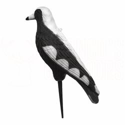 Outdoor Outfitters 17" Magpie Full Body Decoy