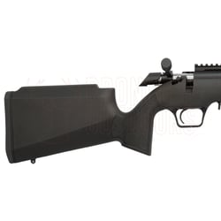 Springfield Armory 2020 Rimfire Target Black .22 LR