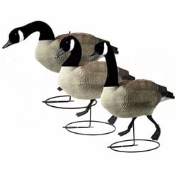 Game on Canada Goose Decoy Full Body Flocked 6-Pack