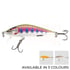Rainbow Trout