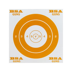 BSA Paper Targets 100 Count