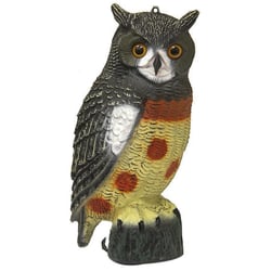 Outdoor Outfitters Owl Decoy Medium 400mm