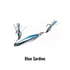 Blue Sardine
