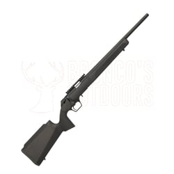 Springfield Armory 2020 Rimfire Target Black .22 LR