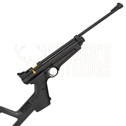 Crosman Ratcatcher 2250B .22