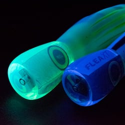 Black Magic LED UV Torch