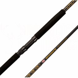 Penn Spinfisher SSM 13' 3 Piece Rod + Penn Spinfisher 850SSM Reel