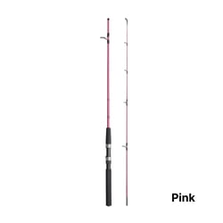 Shimano Kidstix Spinning Rod 6' 2-5kg 2-Piece