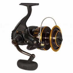 Daiwa BG Spinning Reel
