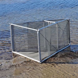 Fishfighter Whitebait A-Frame Collapsible Net