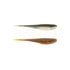 Baitfish