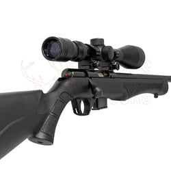 Rossi 8117 .17 HMR + Nikko Stirling Mountmaster Riflescope 3-9x40mm HMD Reticle + Nielsen Sonic 35 Rimfire Suppressor
