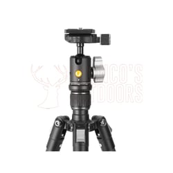 Vanguard Vesta Go 204CB Tripod Carbon Fibre BH-45 Ball Head