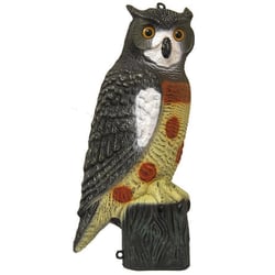 Outdoor Outfitters Large Owl Decoy for Bird Scaring and Magpie Attraction