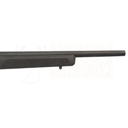 Springfield Armory 2020 Rimfire Target Black .22 LR
