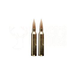 Sako TRG Precision .300 Win Mag 175gr OTM 20 Rounds