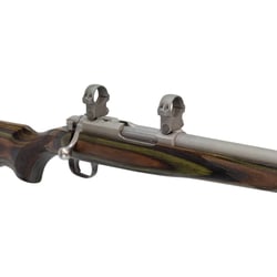 Ruger 77/17 Stainless .17 WSM Green Laminate 18.5"
