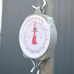 Outdoor Outfitters Big Game Weigh Scales 250kg