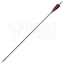 Stealth Carbon Arrows 40gr Heads 12 Arrows