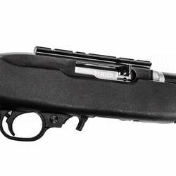 Ruger 10/22 Take-Down Target .22 LR
