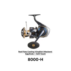 Daiwa 25 Saltiga Spinning Reel