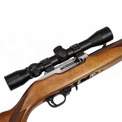 Ruger 10/22 Sporter Stainless .22 LR + 4x40mm Scope + Suppressor