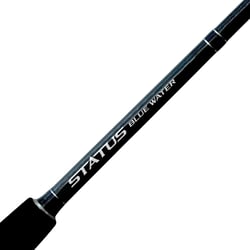 Shimano Status Bluewater Rod 6' PE3-5 Bent Butt + Shimano Plays 3000A Electric Reel PE4 500 Yards