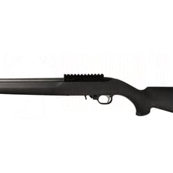Ruger 10/22 Hogue SR-X .22 LR
