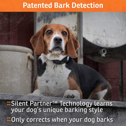 SportDOG NoBark SBC-8 Collar