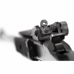 Chiappa Little Badger Single Shot .22 LR