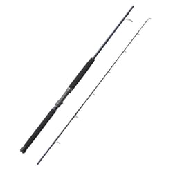 Shimano Shadow X Fishing Rod