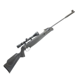 Norica Spider GRS Black .25 + Nikko Stirling 4-12x40