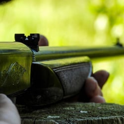 Browning SA-22 Grade I .22 LR