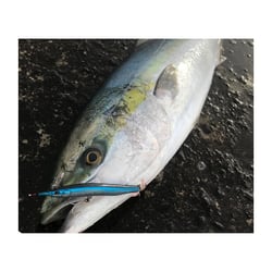 Little Jack Metal Adict Type 07 Fishing Jig 40gm