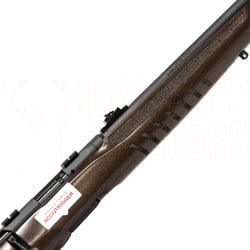 Savage B17 G Blued Wood .17 HMR