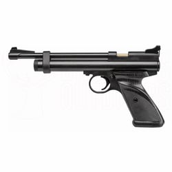 Crosman 2240 Pistol .22