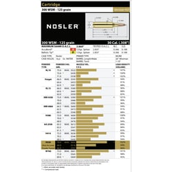 Nosler Ballistic Tip Projectiles 300 WSM 165gr 20 Projectiles