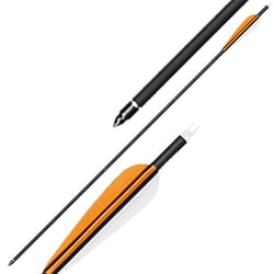 Stealth Carbon Arrows 30" 6 Pack