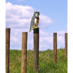 Outdoor Outfitters Large Owl Decoy for Bird Scaring and Magpie Attraction