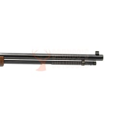 Henry H004V Golden Boy .17 HMR
