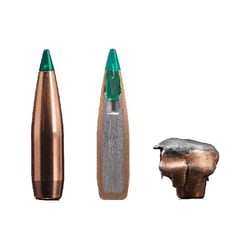 Sako Gamehead Pro .300 Win Mag 165gr Tipped Gameking 10 Rounds