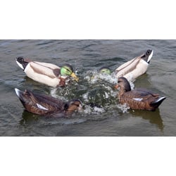 Game on Feeding Frenzy Motion Decoy System