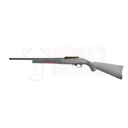 Ruger 10/22 Blued Synthetic Carbine Threaded .22 LR